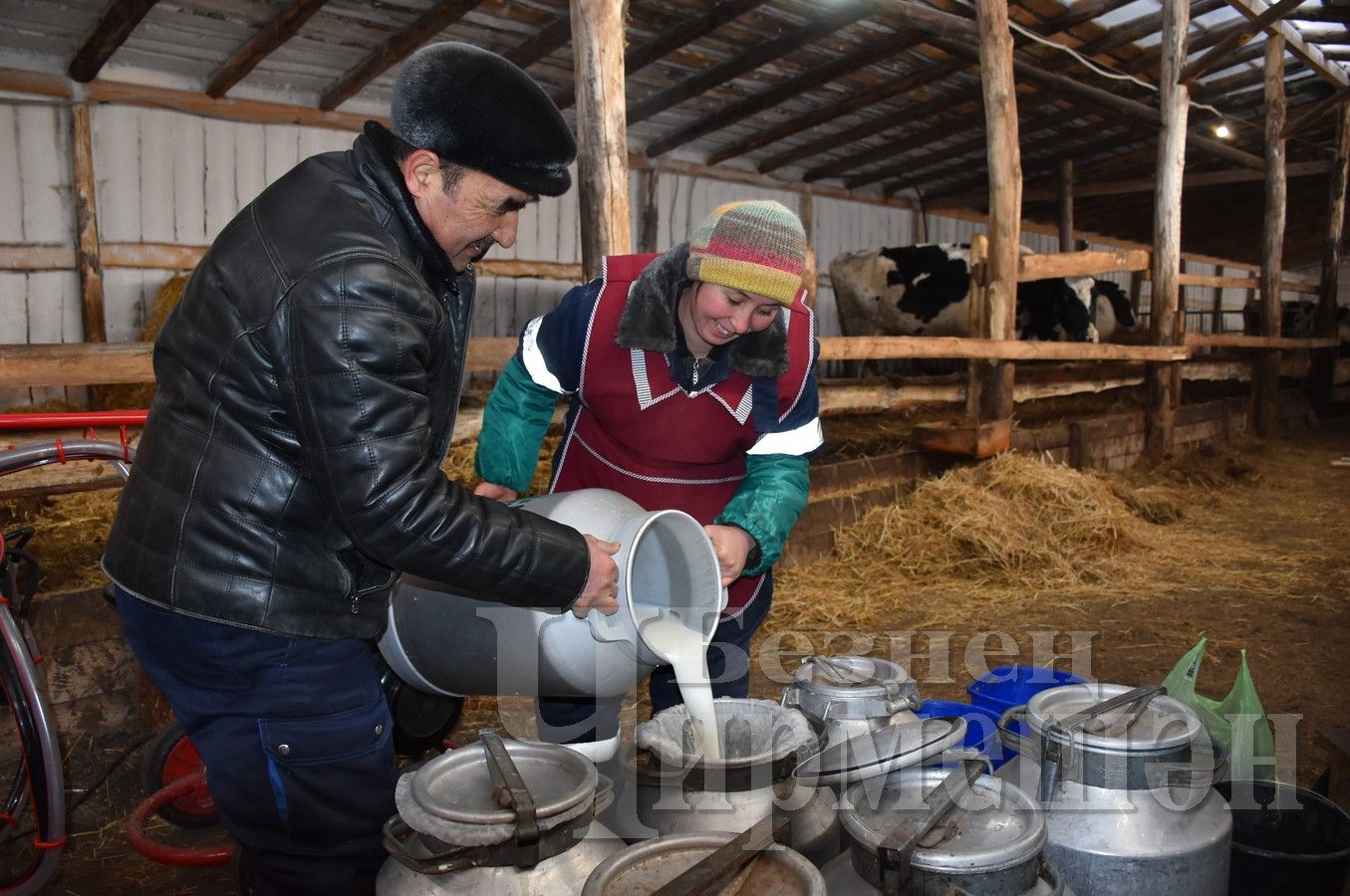 Семья Карабаевых из Черемшана находит время и для животноводства, и для пчеловодства