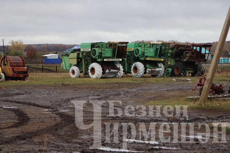 Чирмешән районының “Сөлчә” җәмгыяте тәҗрибәсен башкалар да өйрәнә