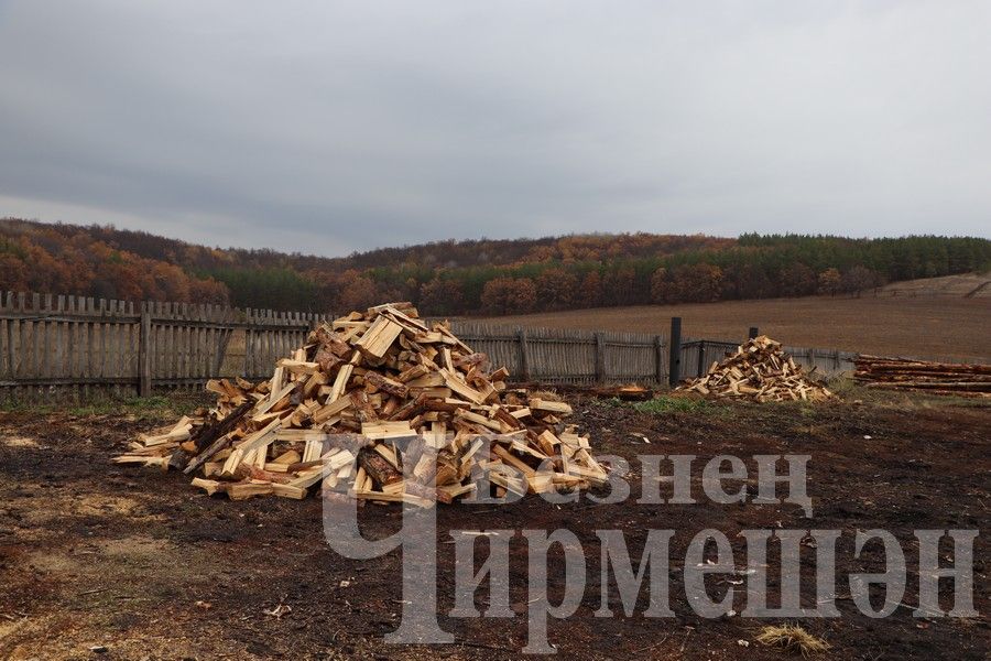 Из Черемшанского района в Лисичанск отправили доски