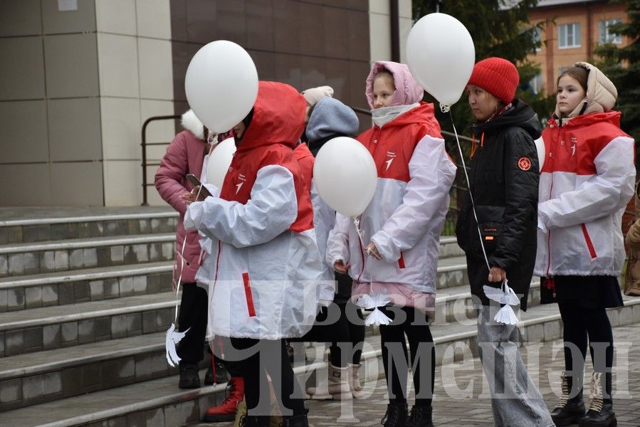 В Черемшане прошла акция, посвященная дню памяти жертв ДТП
