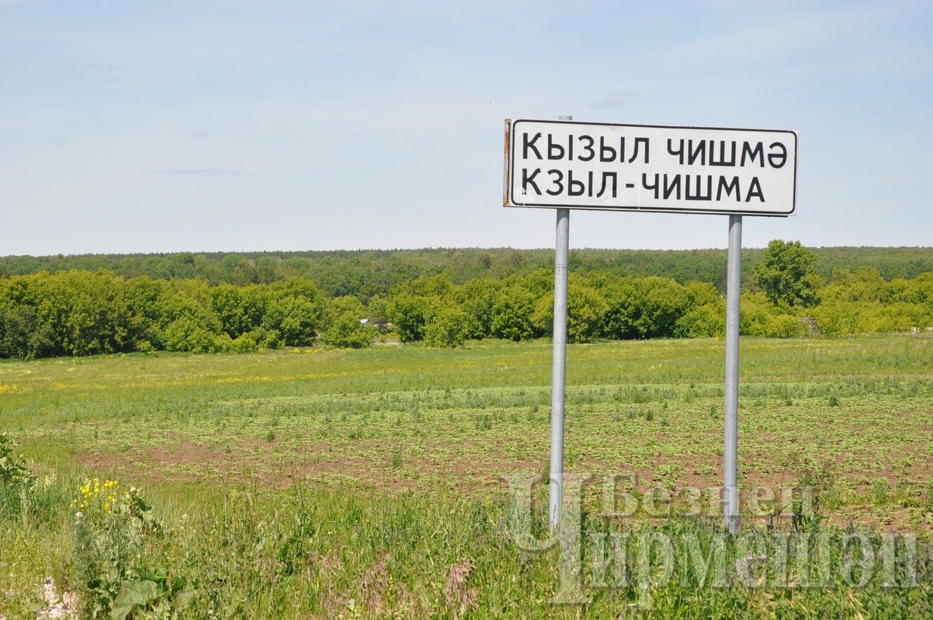 Кызыл Чишмәдә яшәүче берәүнең хуҗалыгыннан егермеләп патрон алганнар