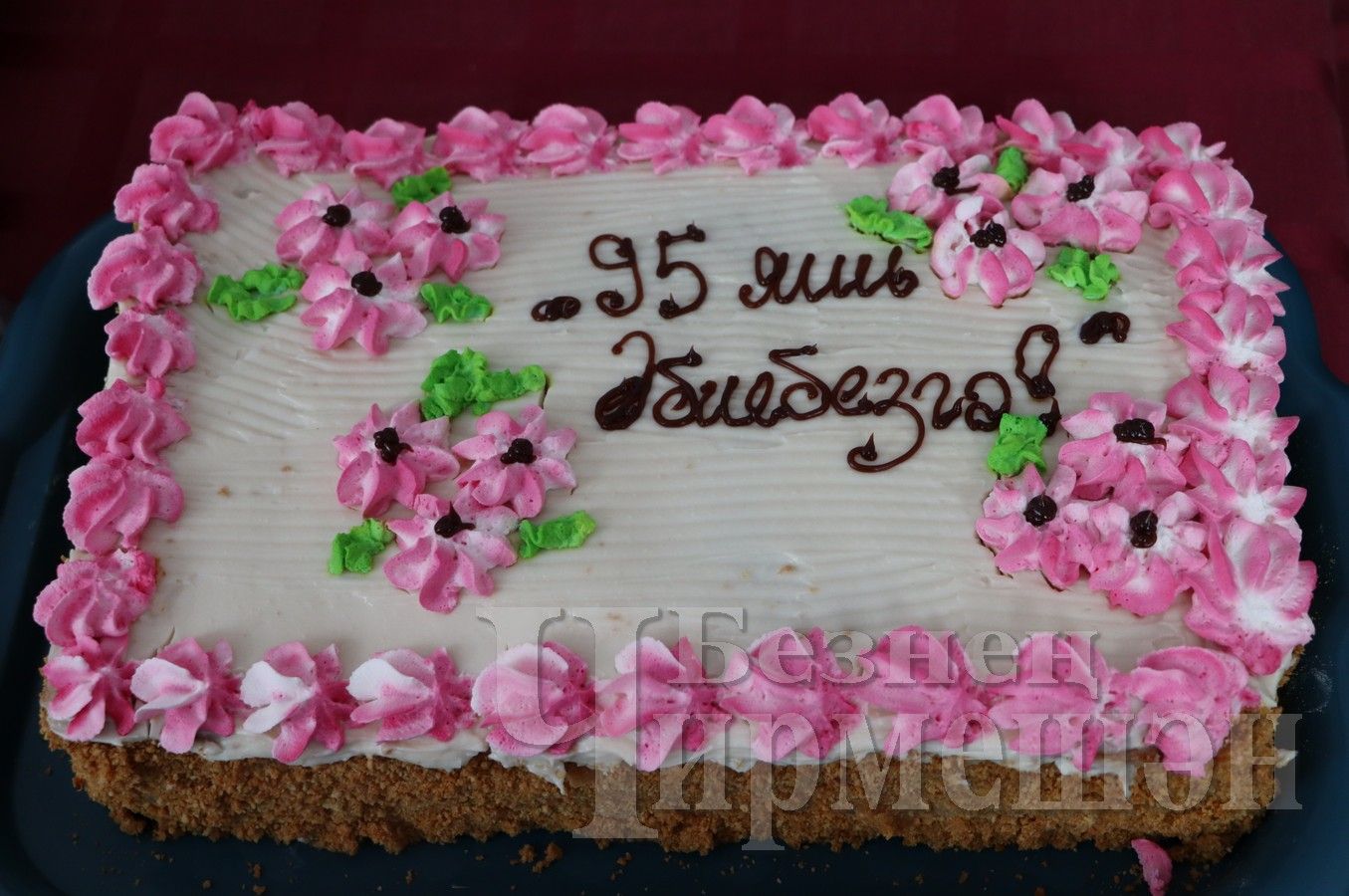 Түбән Кәминкә ветераны кунакта сыман яши