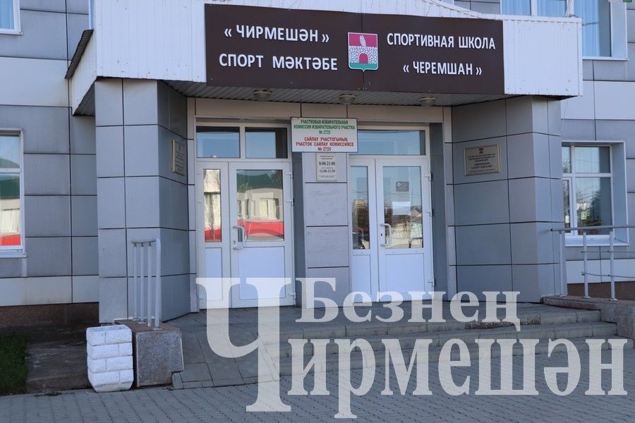 В шести поселениях Черемшанского района проходят выборы депутатов