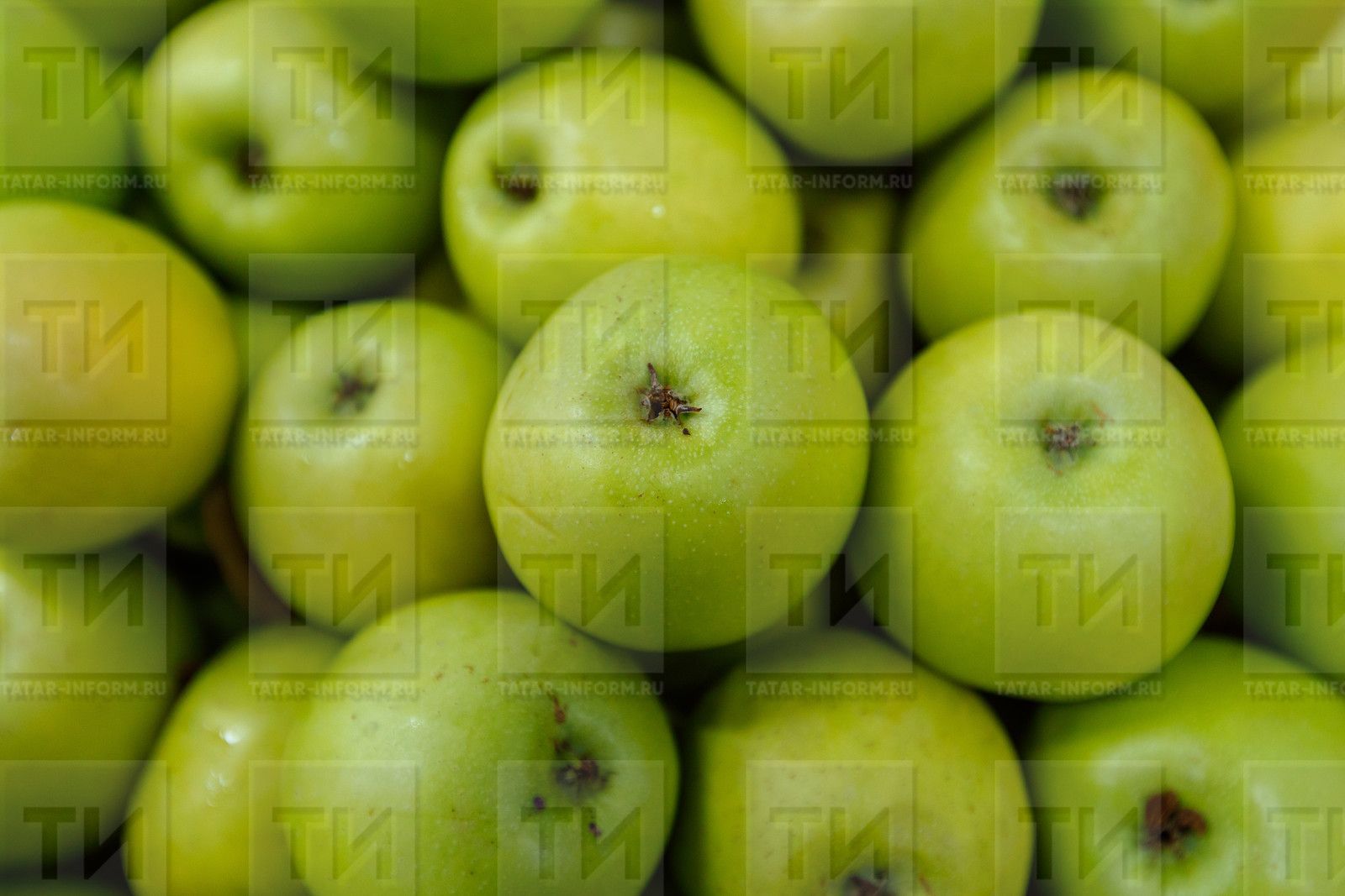 Көзен һәм кышын нинди продуктларның файдалы булуын аңлатканнар