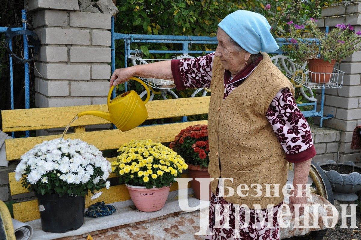 Перед домом Мисбаховых из села Ибрай Каргали благоухают красивые цветы