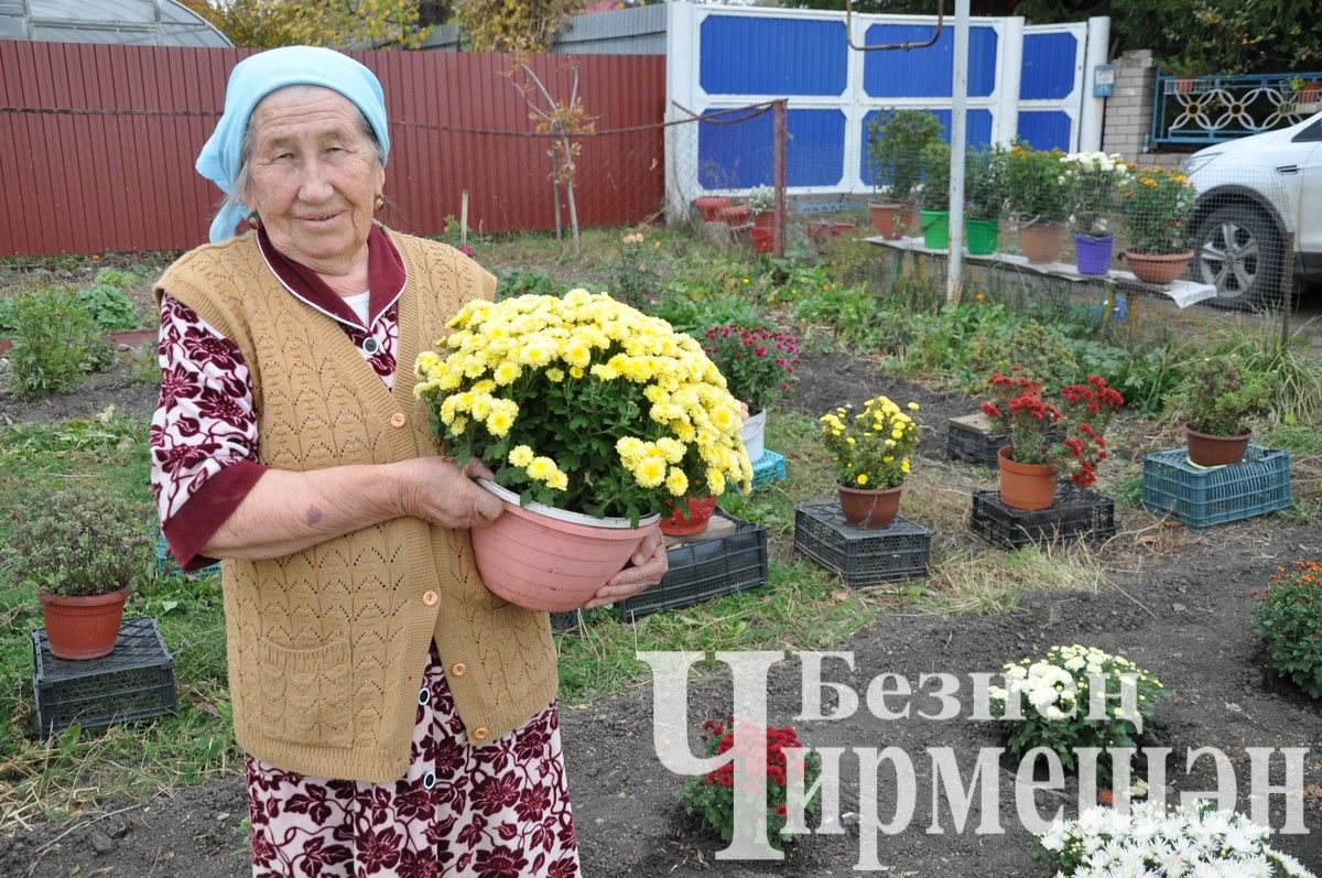 Перед домом Мисбаховых из села Ибрай Каргали благоухают красивые цветы