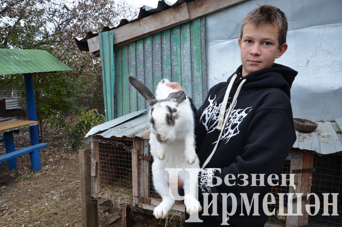 Кара Чишмәдән Әгълүковлар өчен абзардагы 5-6 баш мал юк та сыман