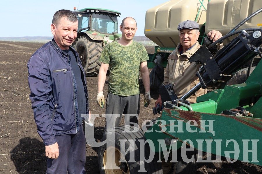 Чирмешән районы хуҗалыклары арпа чәчә башладылар