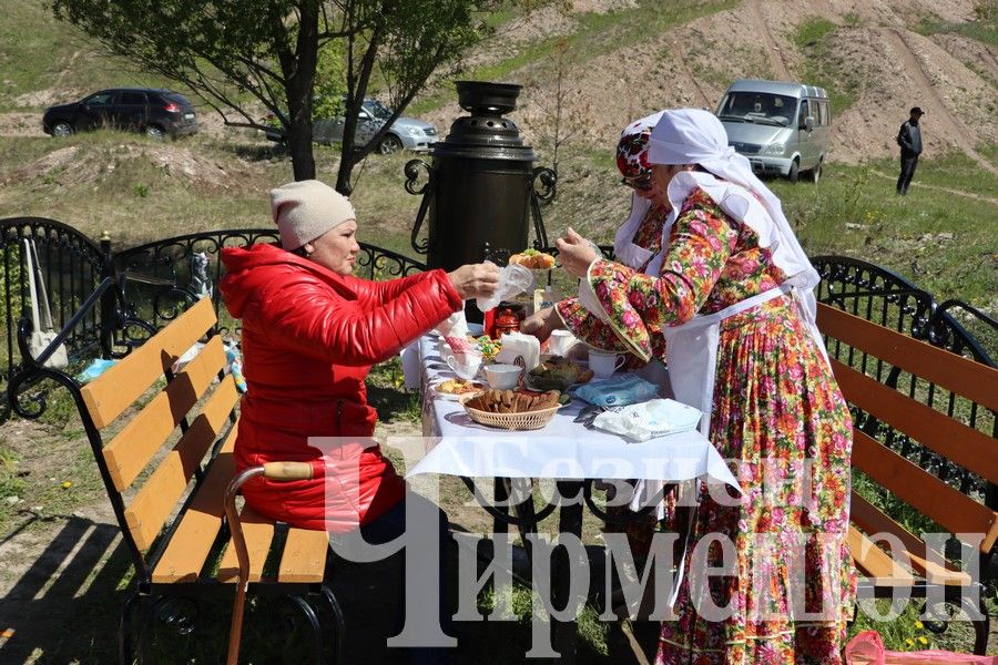 Родник Мельничный торжественно открыли после ремонта