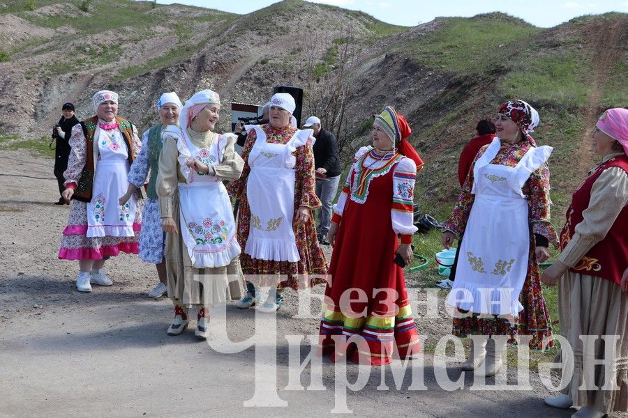 Родник Мельничный торжественно открыли после ремонта