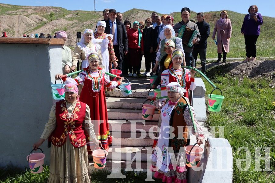 Родник Мельничный торжественно открыли после ремонта