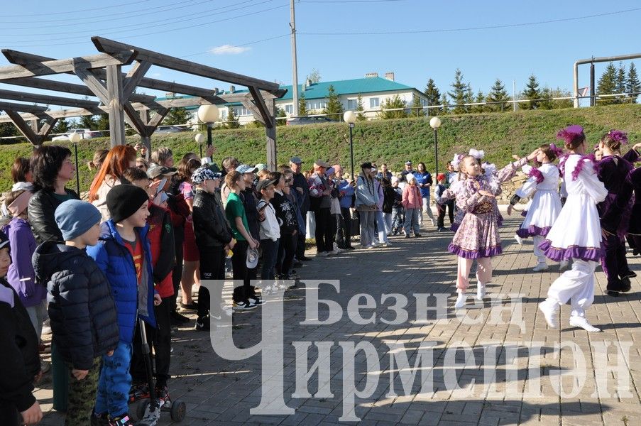 В Черемшанском парке работает карусель