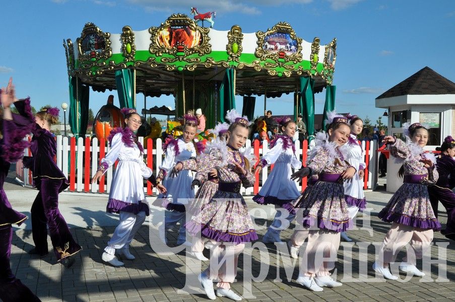 В Черемшанском парке работает карусель