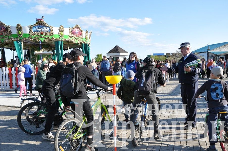 В Черемшанском парке работает карусель