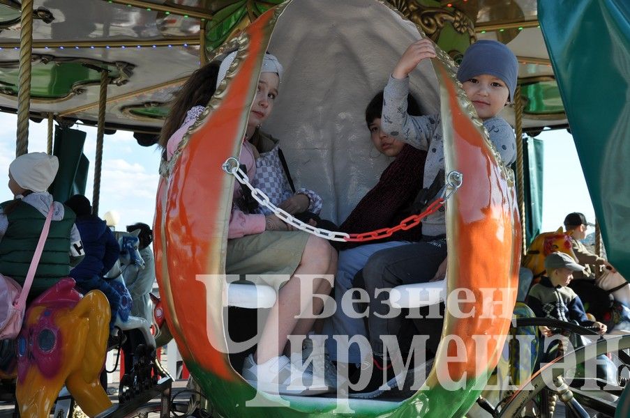 В Черемшанском парке работает карусель