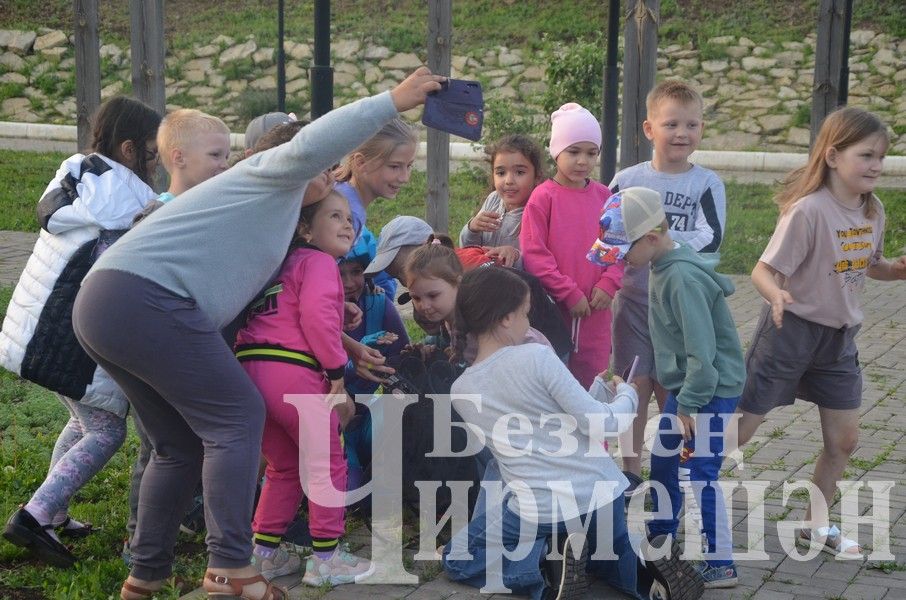 В Черемшане еженедельно будут проходить летние концерты