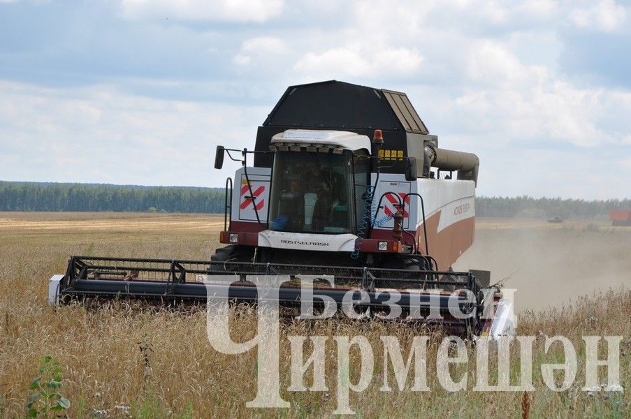 ”ЧИРМЕШӘНАГРО” комбайнчыларын  басуда ук әллә ничә төрле аш белән сыйлыйлар