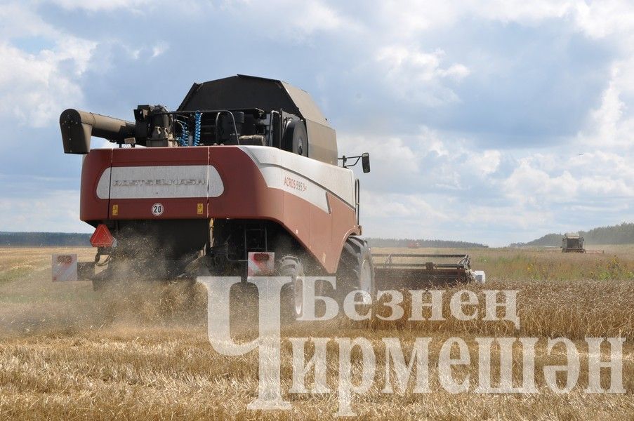 ”ЧИРМЕШӘНАГРО” комбайнчыларын  басуда ук әллә ничә төрле аш белән сыйлыйлар