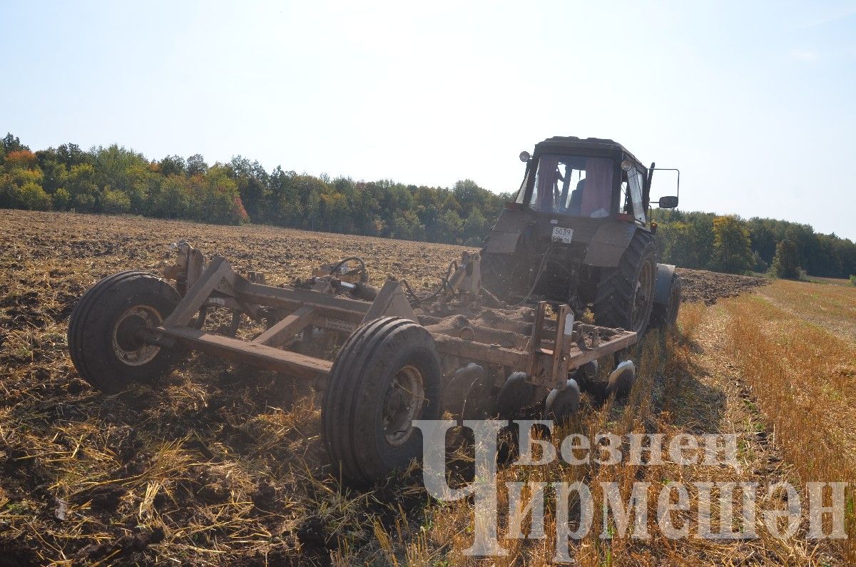 Чирмешән районының “Сөлчә” җәмгыяте кырларында бүген дистәләгән техника эшли