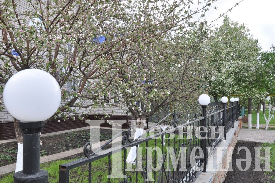 Яз һәм җәйнең ничек киләчәген фаразлаганнар