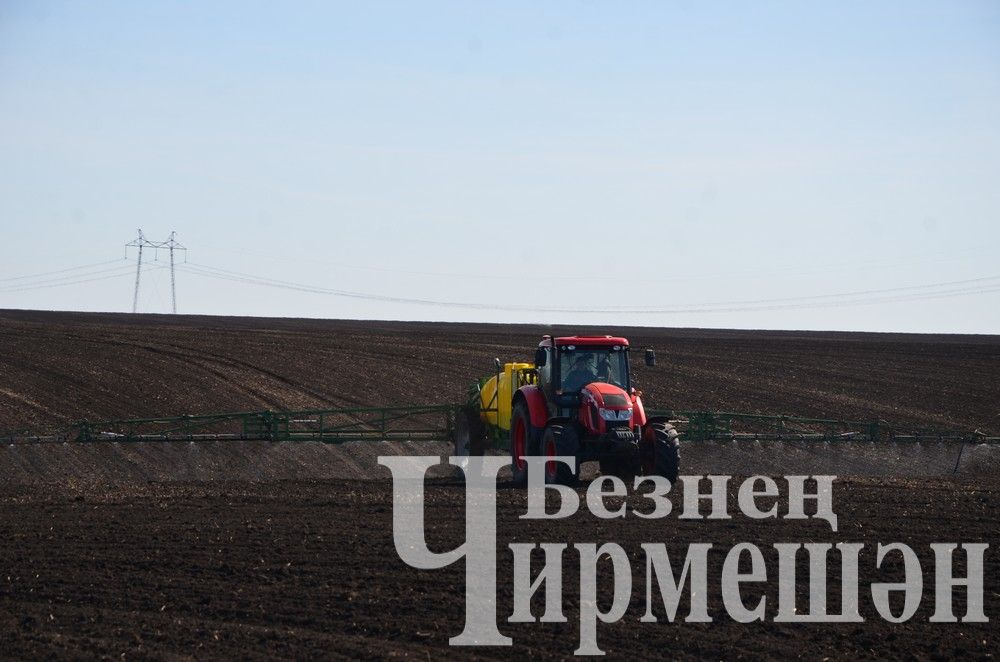 Механизаторы «ЧЕРЕМШАНАГРО» готовят почву под рапс