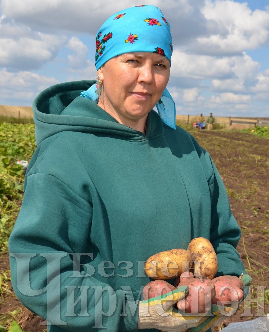 Людмила Калмыкова из Аккиреева поделилась национальным рецептом хуплу