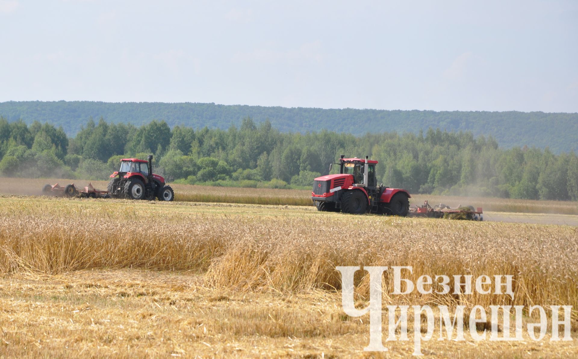 5 августка һава торышы