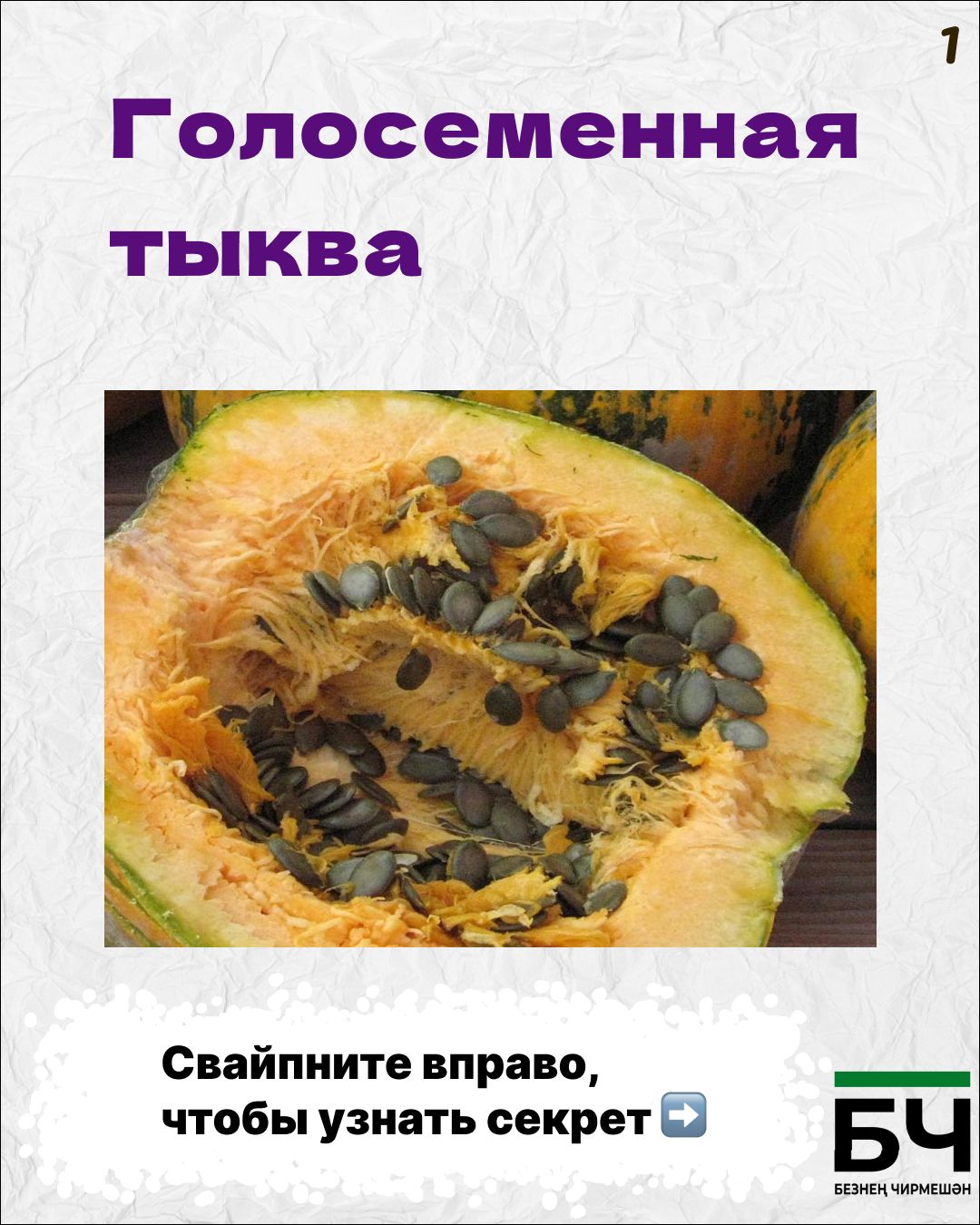 Семечки без шелухи с грядки (карточки)