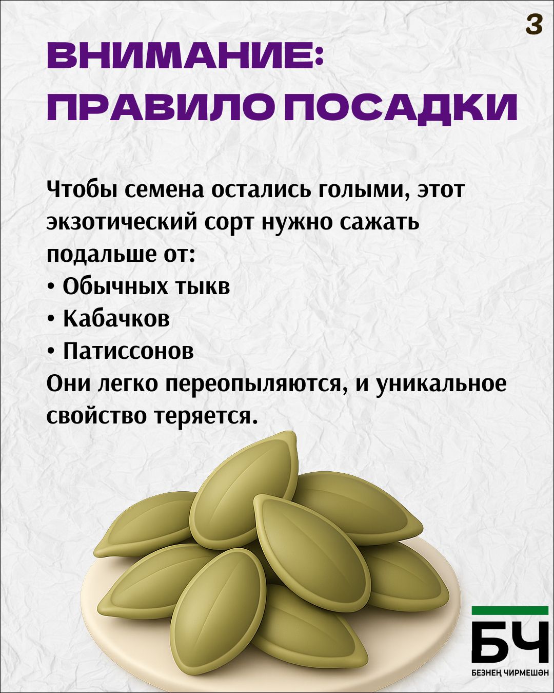 Семечки без шелухи с грядки (карточки)