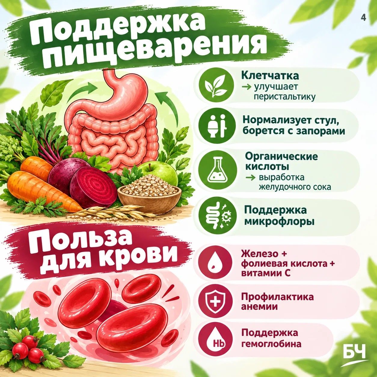 Свекла — суперфуд или скрытая угроза? Разбираем пользу и вред