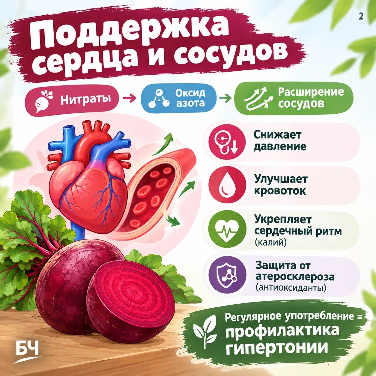 Свекла — суперфуд или скрытая угроза? Разбираем пользу и вред