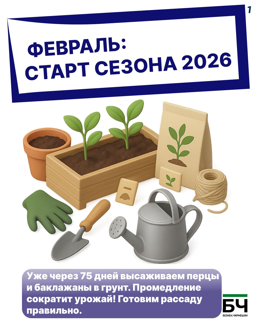 Февральский посевной: старт сезона 2026 (карточки)