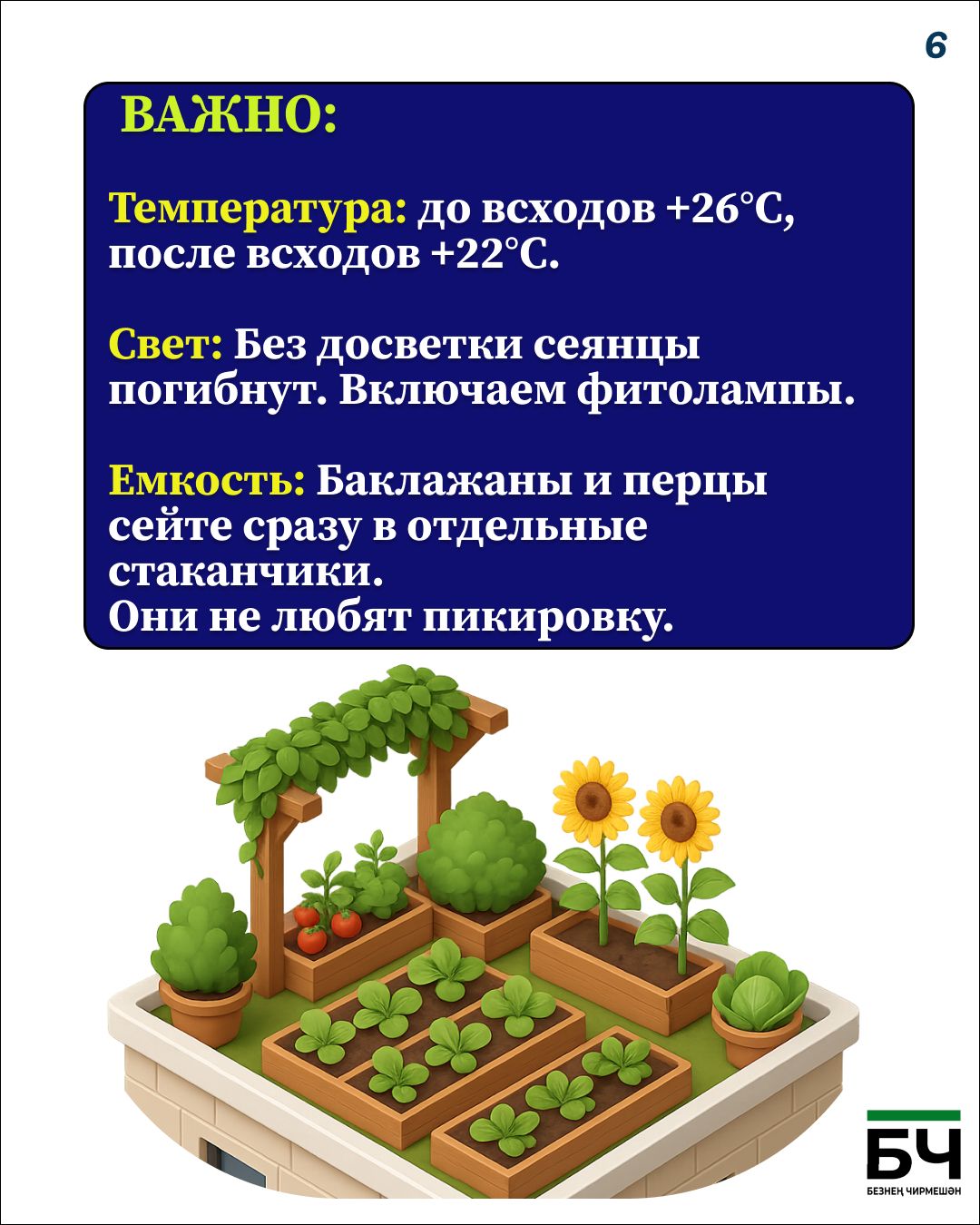 Февральский посевной: старт сезона 2026 (карточки)