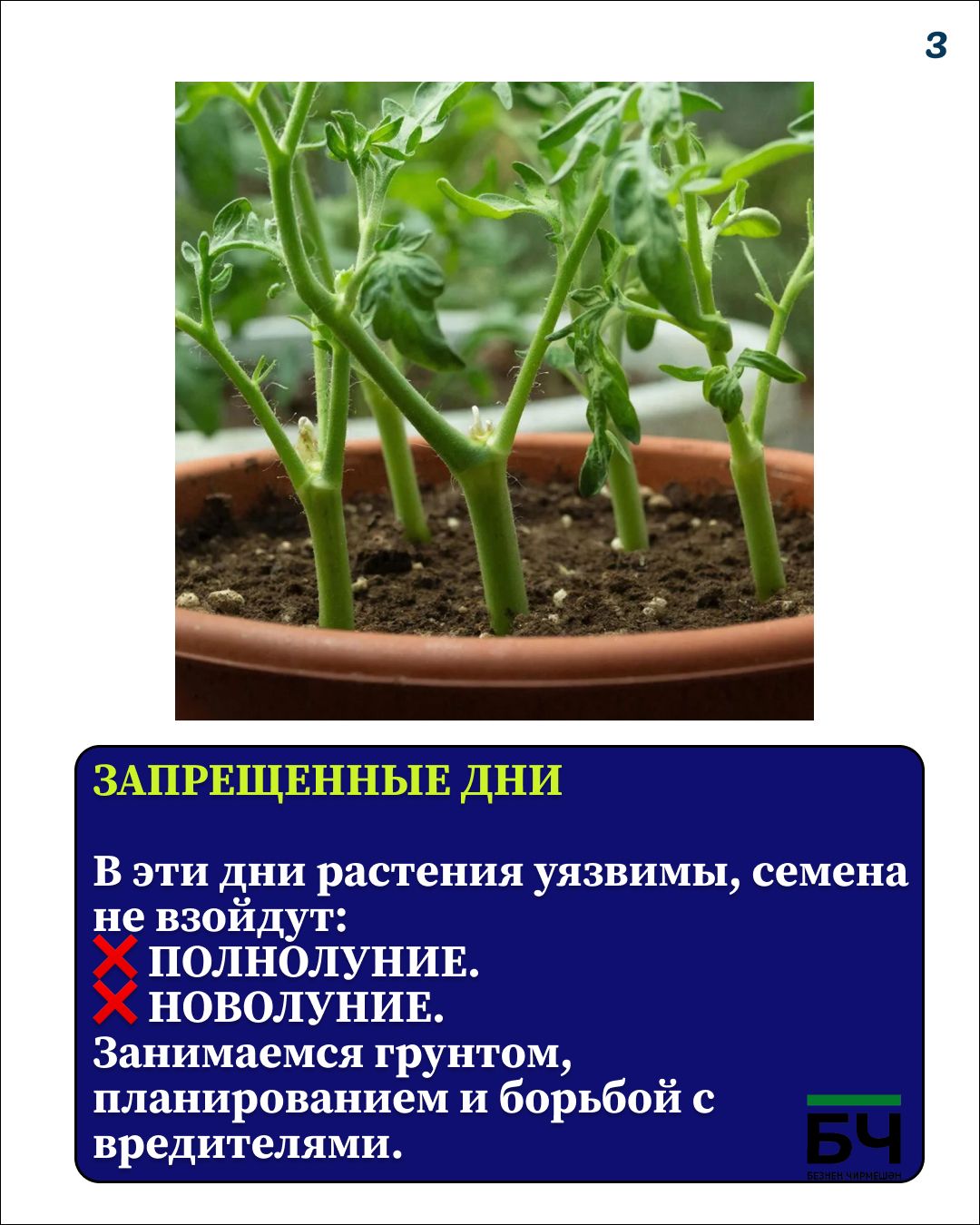 Февральский посевной: старт сезона 2026 (карточки)