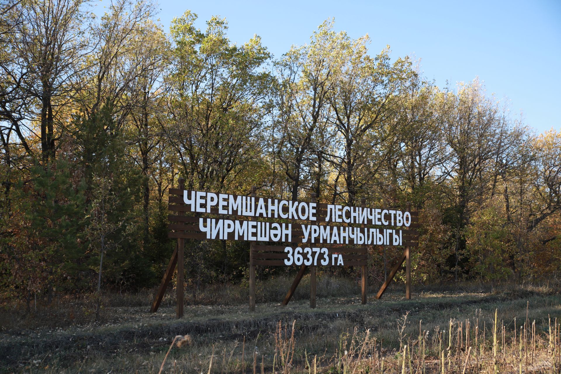 Татарстан урманнарында янгын куркынычы сезоны башлануы турында игълан иттеләр