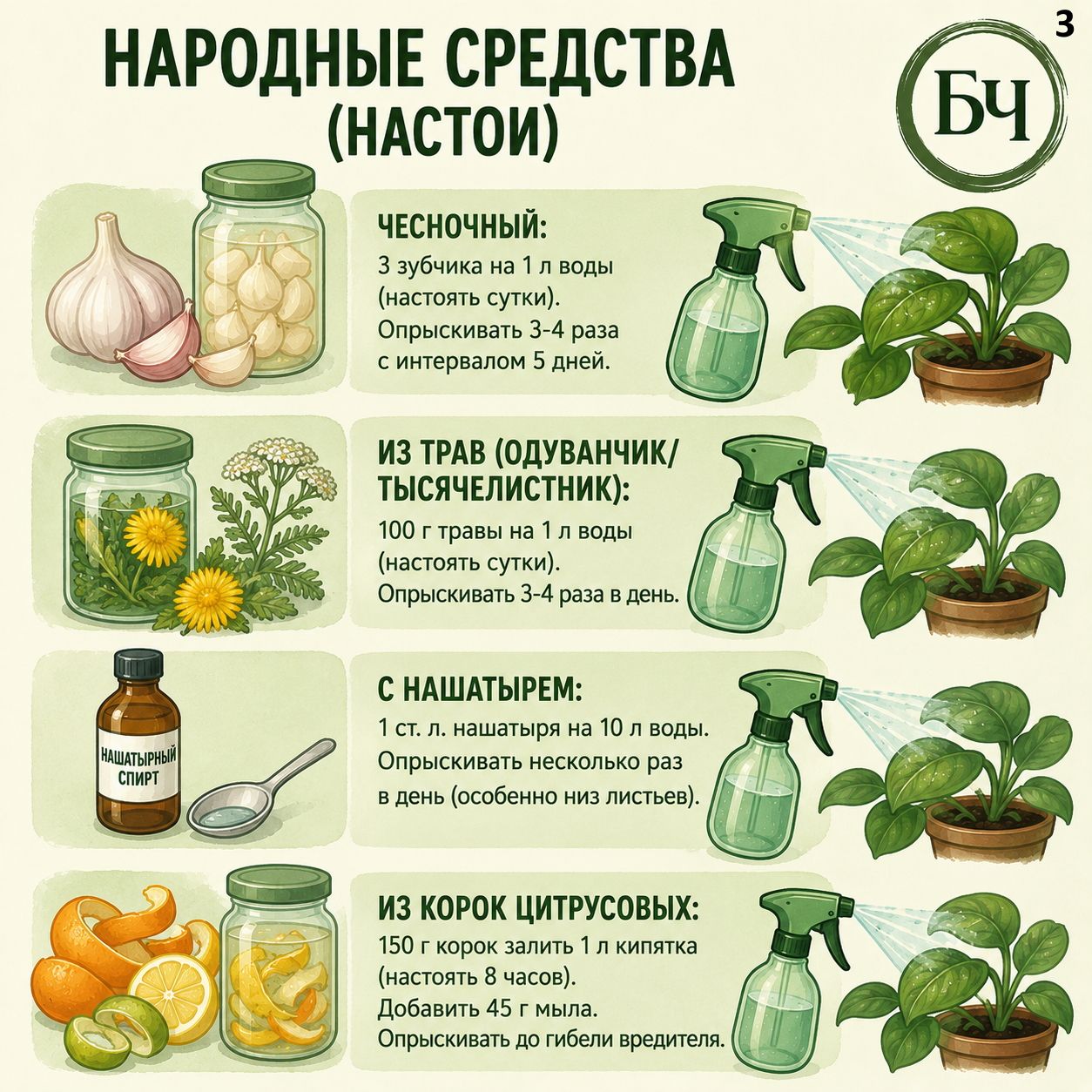 Как избавиться от белокрылки в теплице и на открытом грунте (карточки)