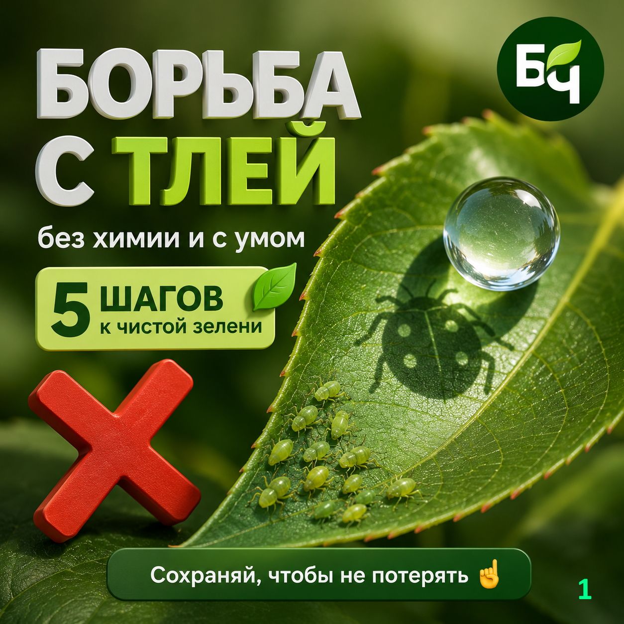 Почему тля опасна? (карточки)