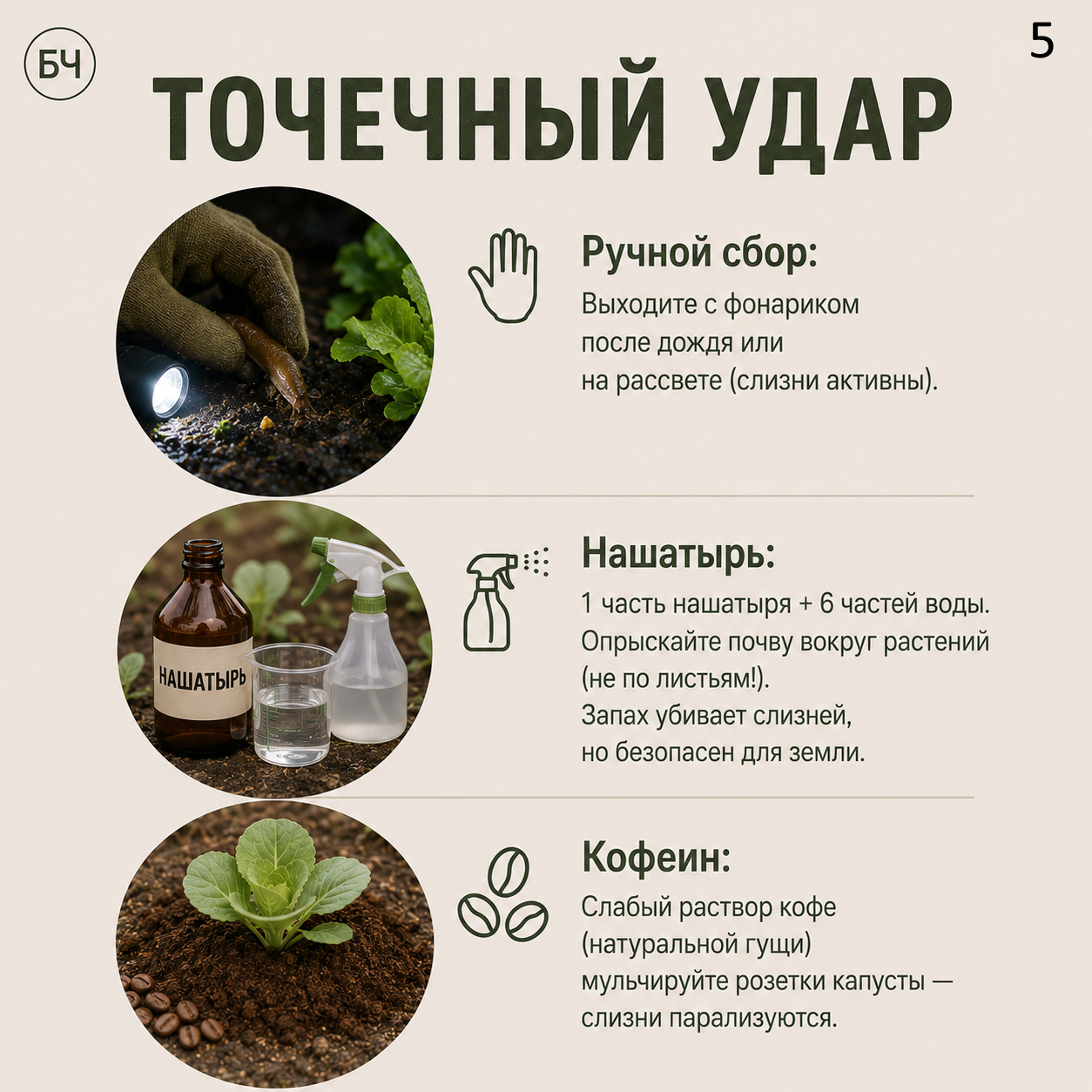 Как избавиться от слизней на участке? (карточки)