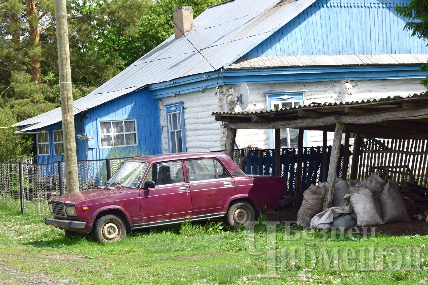 Деревня сосновка