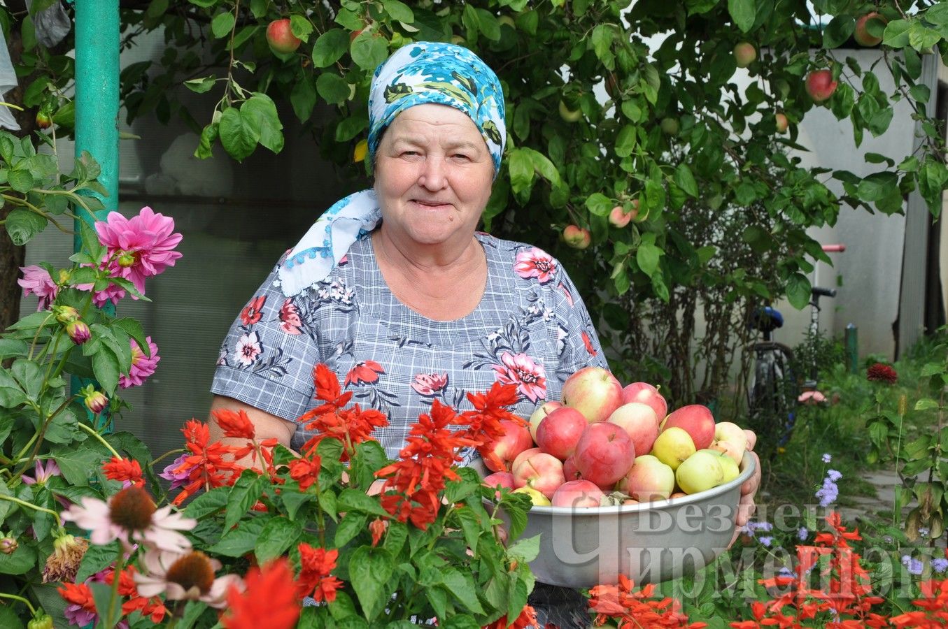 Болталка Огородник Из Рязани