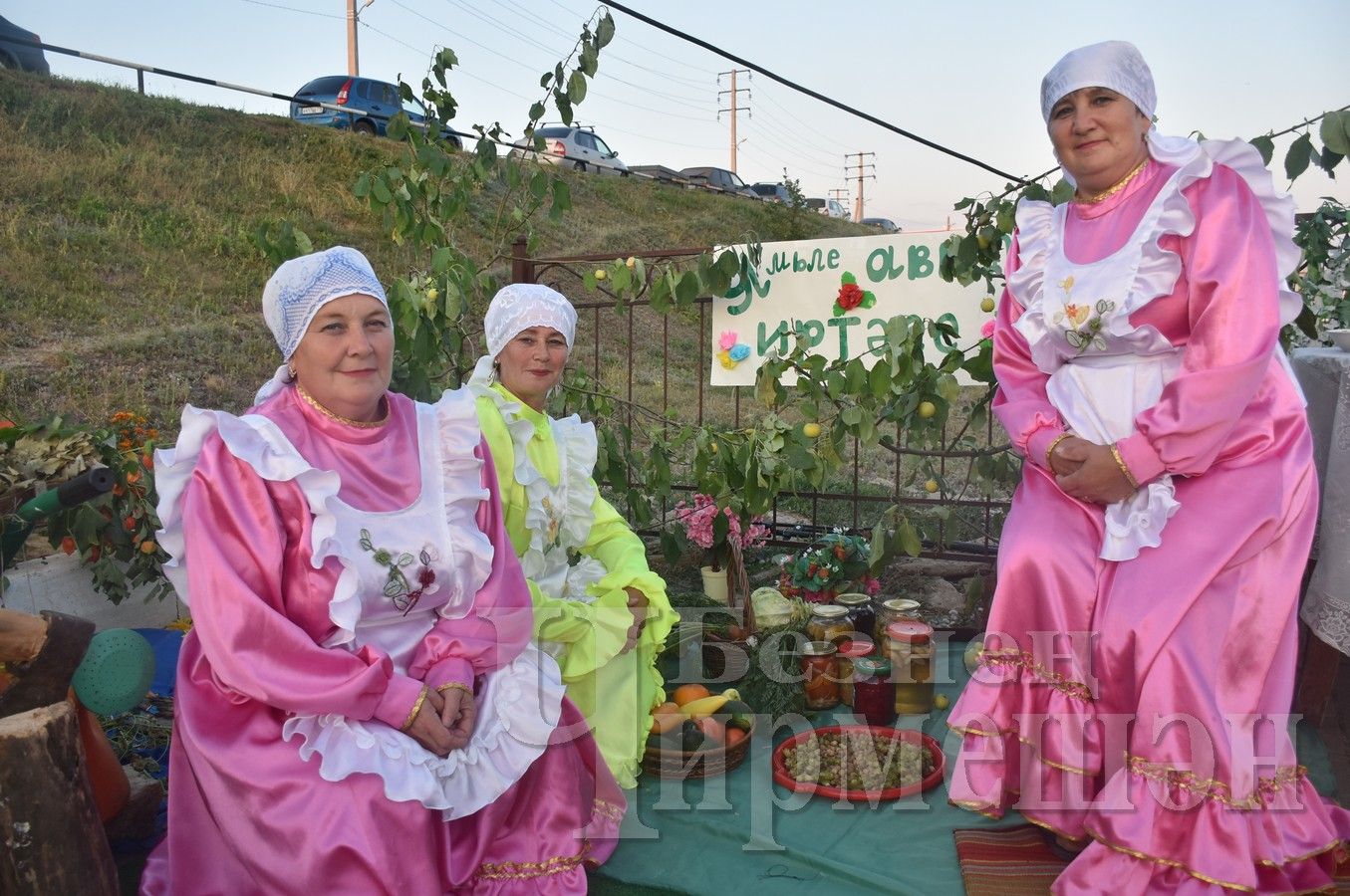 В Черемшане отметили День Республики Татарстан (ФОТОРЕПОРТАЖ)