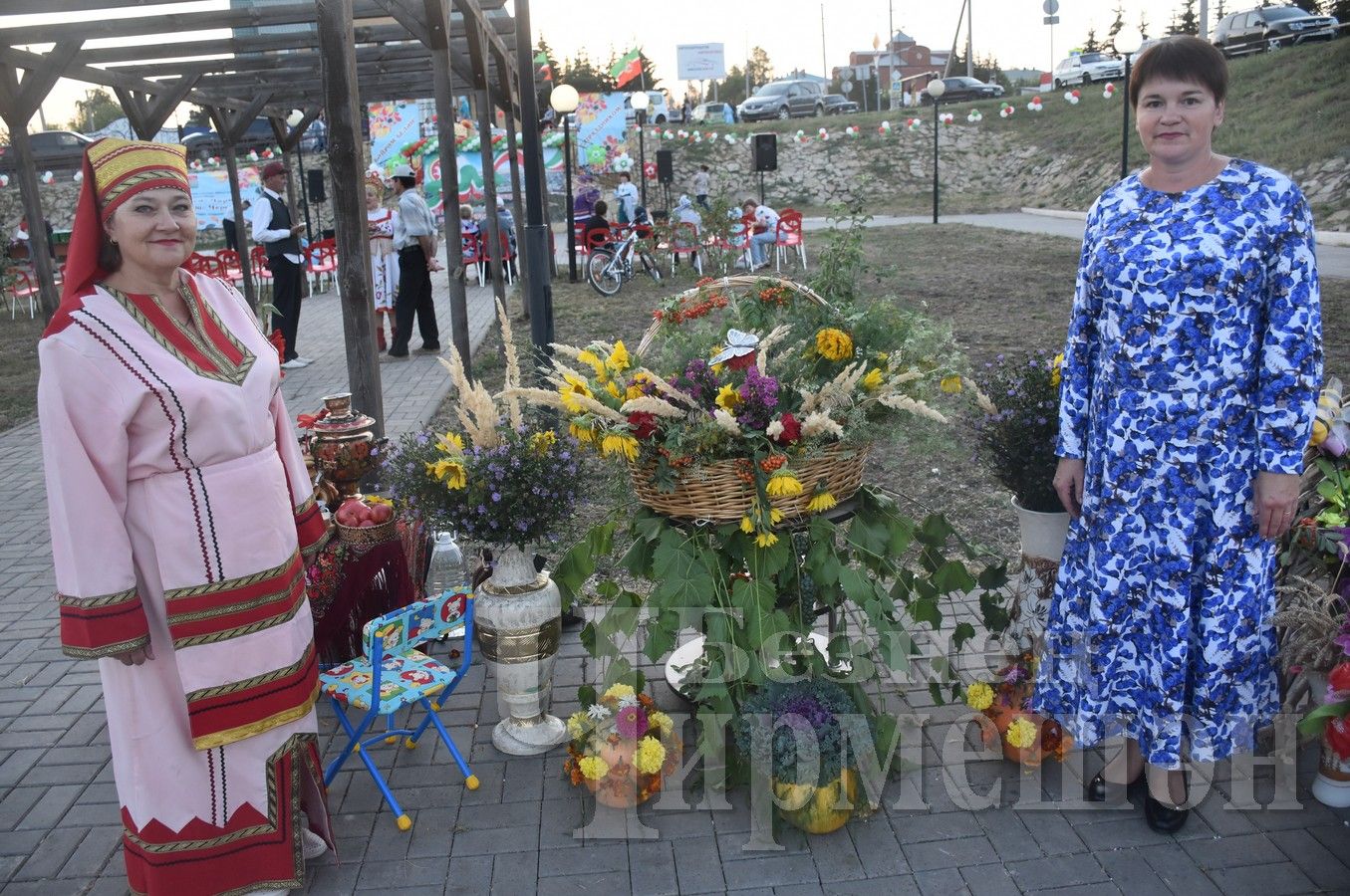 В Черемшане отметили День Республики Татарстан (ФОТОРЕПОРТАЖ)