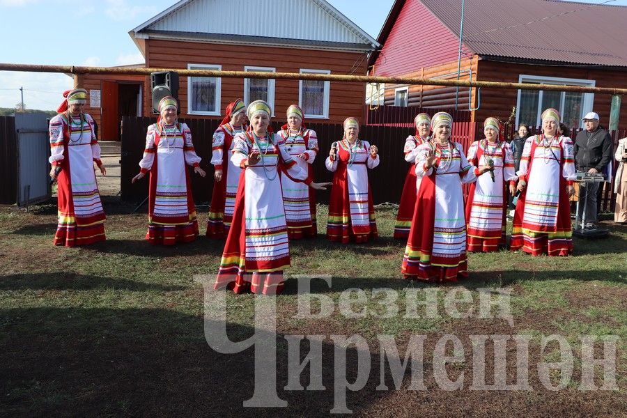 В Новом Ильмово посадили 99 саженцев яблонь (ФОТОРЕПОРТАЖ)