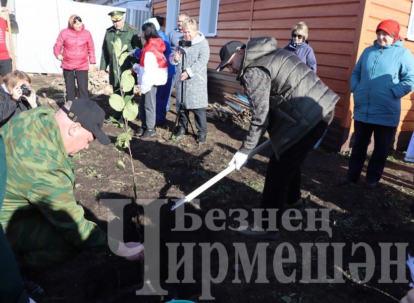 Яңа Элмәледәге ак бакчада 99 төп алмагач үсентесе утырттылар (ФОТОРЕПОРТАЖ)