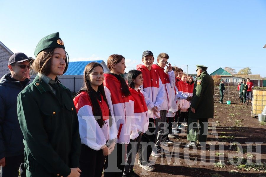 В Новом Ильмово посадили 99 саженцев яблонь (ФОТОРЕПОРТАЖ)