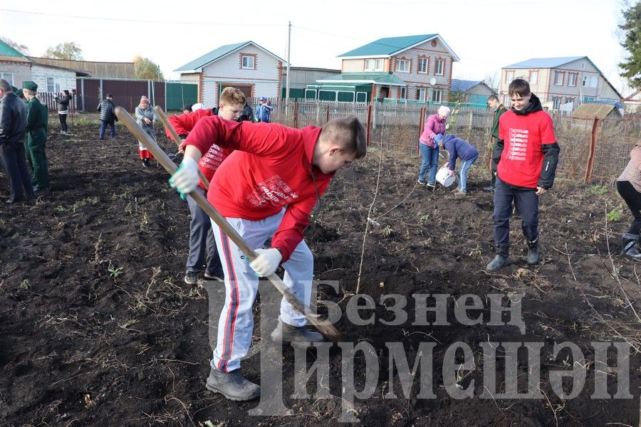 Яңа Элмәледәге ак бакчада 99 төп алмагач үсентесе утырттылар (ФОТОРЕПОРТАЖ)