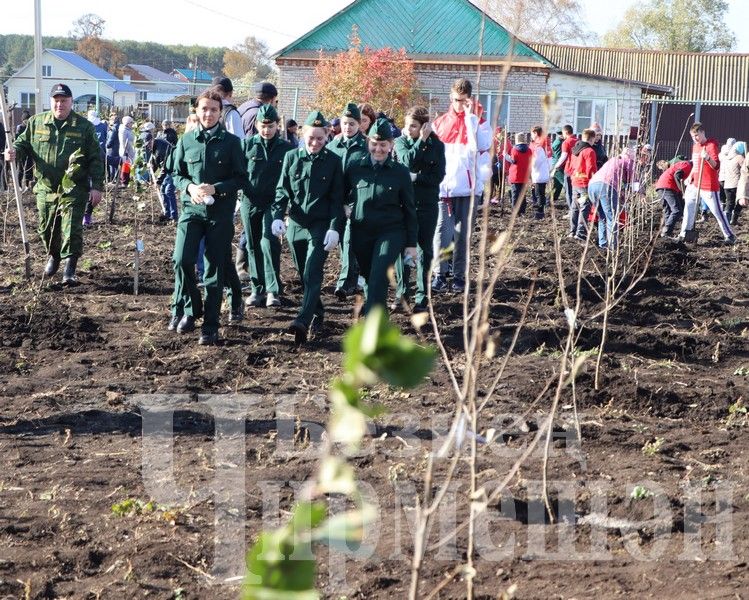 Яңа Элмәледәге ак бакчада 99 төп алмагач үсентесе утырттылар (ФОТОРЕПОРТАЖ)