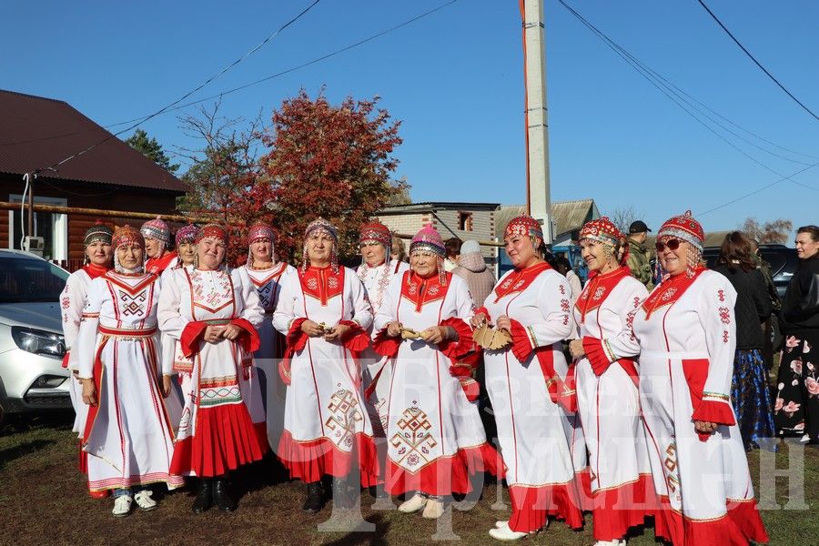 В Новом Ильмово посадили 99 саженцев яблонь (ФОТОРЕПОРТАЖ)