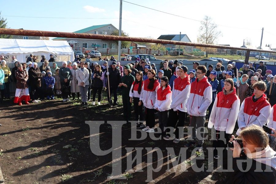 В Новом Ильмово посадили 99 саженцев яблонь (ФОТОРЕПОРТАЖ)