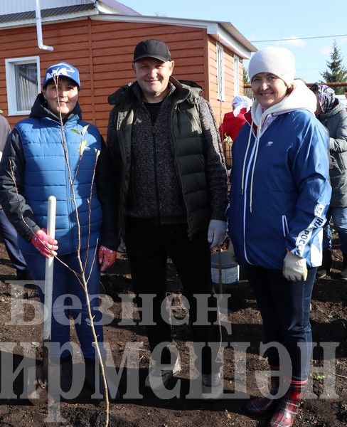 В Новом Ильмово посадили 99 саженцев яблонь (ФОТОРЕПОРТАЖ)